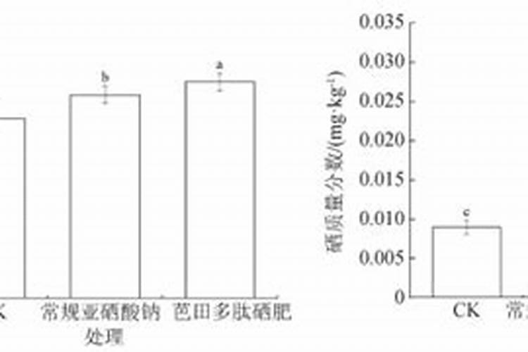 栀子花当年新叶之间会打苞吗？