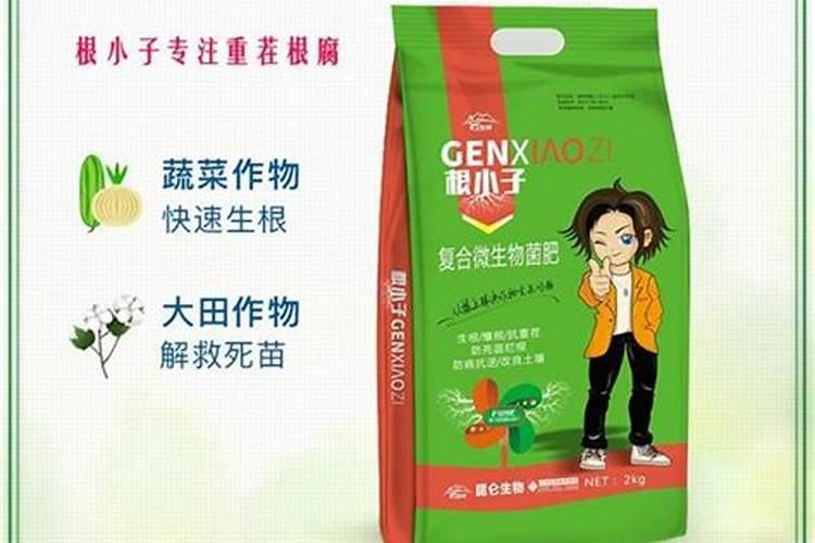 怎样判断原子或离子的电子组态是基态,激发态还是不可能的组态？