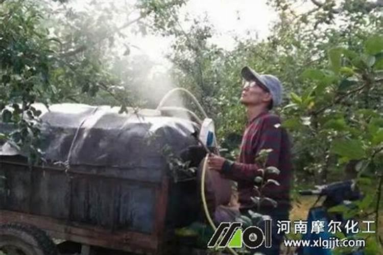 猪屎怎样变成能用的有机肥