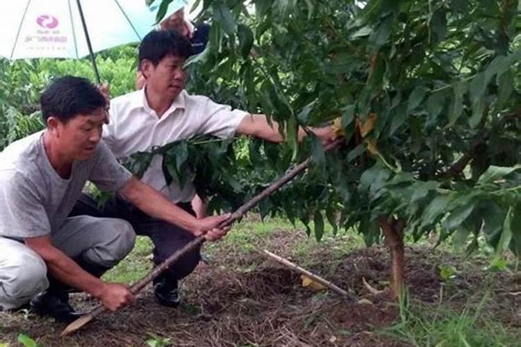 《龙枪觉醒》安塞隆大陆起源