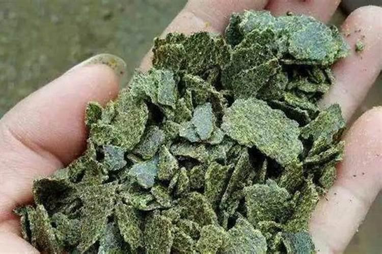 麻子糠可以做肥料吗