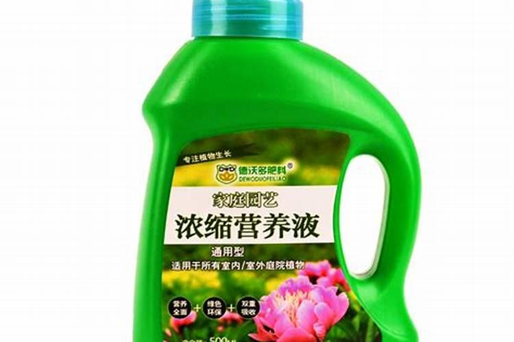 钾肥在果树上用过量了怎么办？
