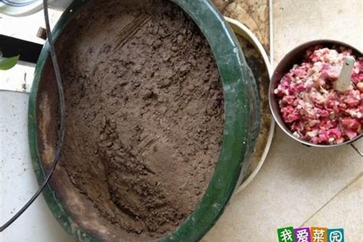 桂花树底肥放什么肥好(底肥施用方法)