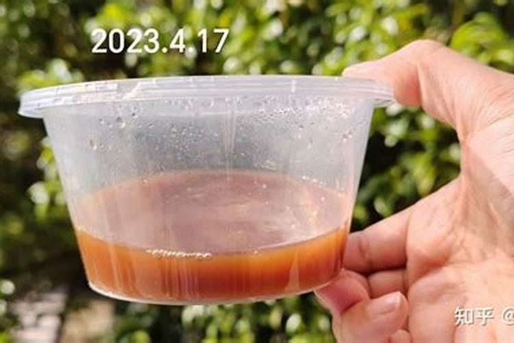 氮肥为主的有机肥是什么肥料