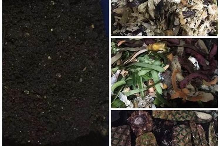 怎么处理堆肥土过于难闻的臭味