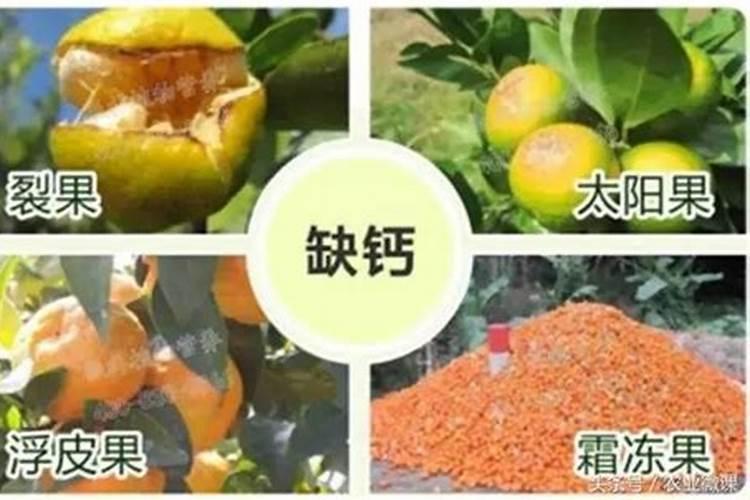 在种植马铃薯的时候该怎样科学的施肥？多久施一次肥比较？