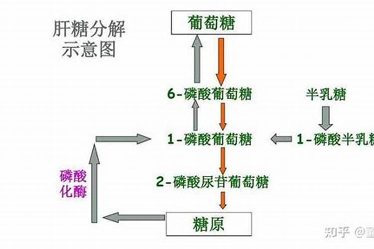 土豆在播种的时候,哪些因素出路不好,会影响土豆产量和品质？