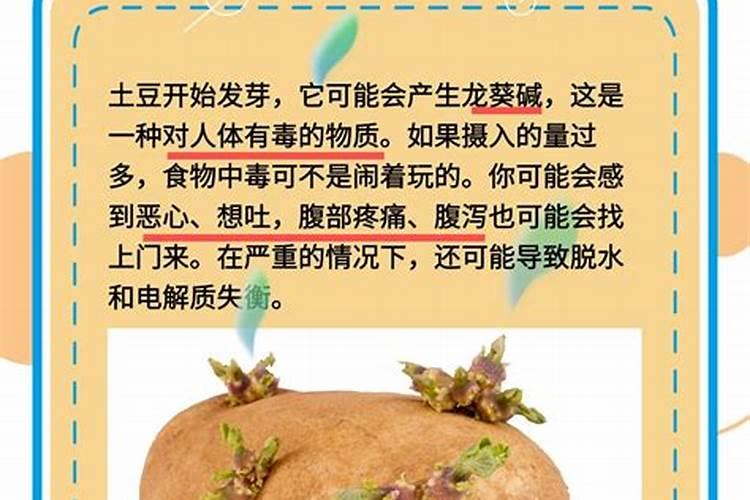 土豆生长缓慢的原因有哪些 如何解决