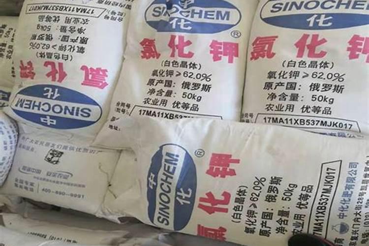 油茶开花不结果怎么办