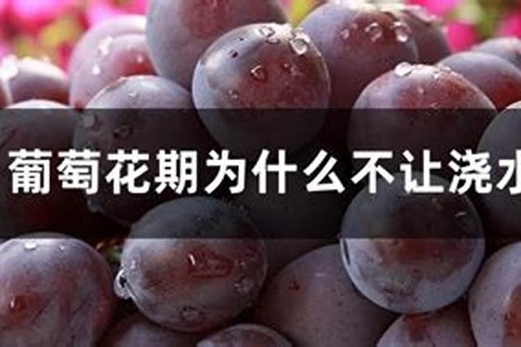 爱多收与芸苔素的区别