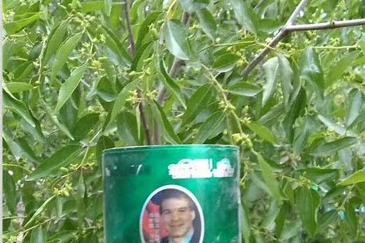 亚磷酸钾能和微量元素混用吗(亚磷酸钾复配使用禁忌)