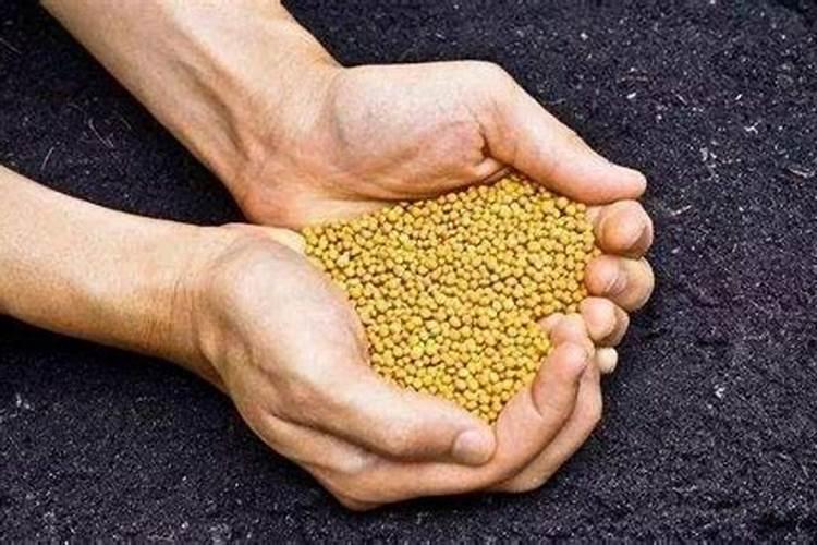 大棚辣椒后期追肥几次,各在什么时期？能不能浇空水？