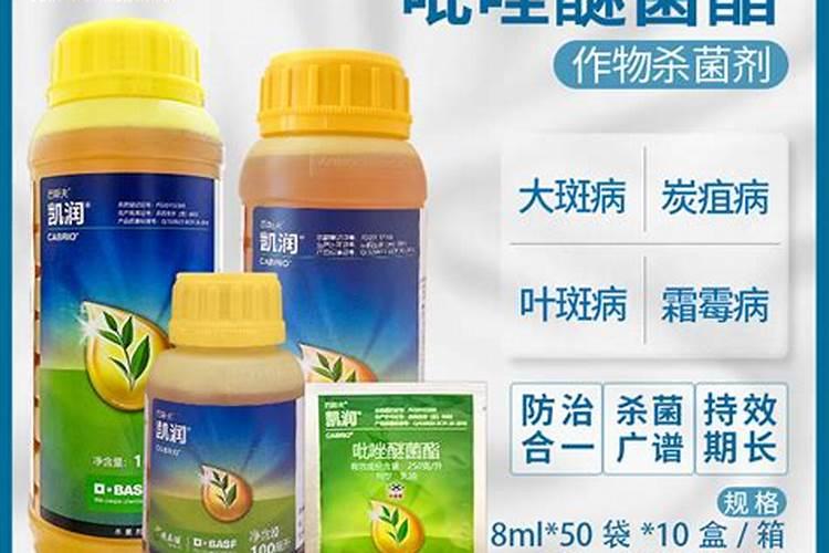 凯润杀菌剂该如何使用？凯润杀菌剂使用注意事项!