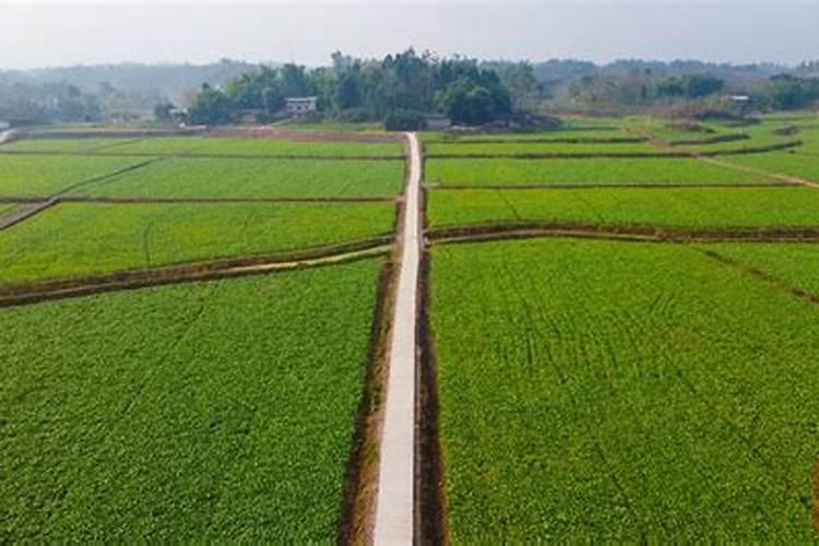 养花的营养土能不能拿来种菜营养土种菜还需要加肥料吗