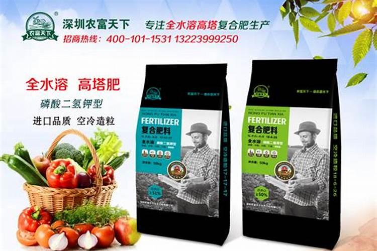 生根肥料有哪些