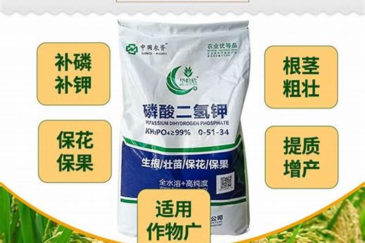 哪种钾肥最好(市面上常见都最好的钾肥是什么钾肥)
