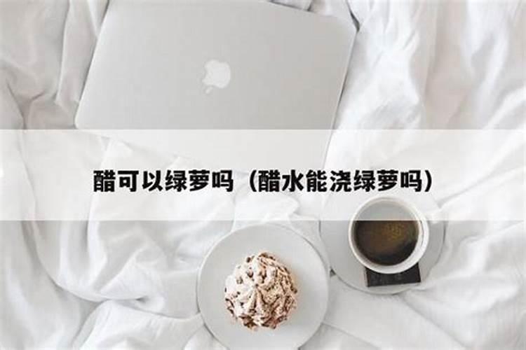 绿萝怎么养才能更旺盛？绿萝的养殖方法和注意事项