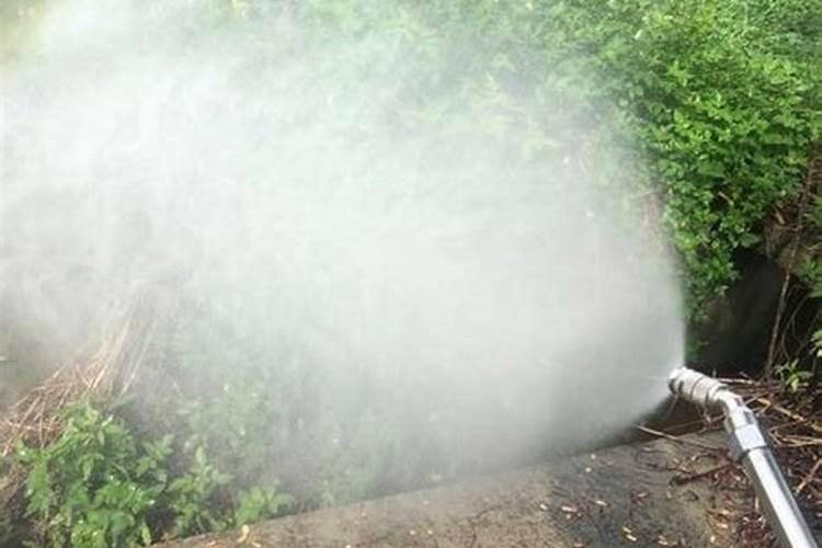 叶面肥多久用一次效果好？使用过多会有哪些危害？