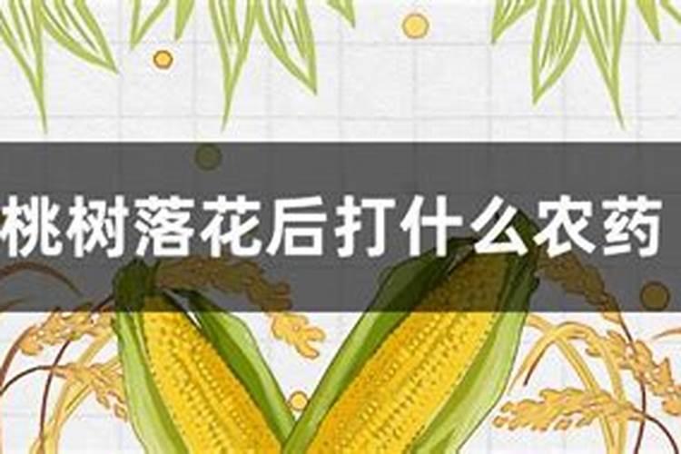 桃树花前花后打药技巧