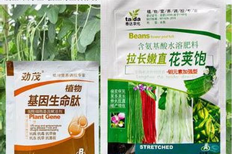四季豆施什么肥料