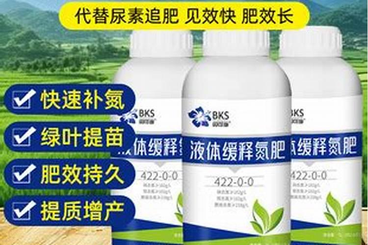 贝可施和彩乐植鱼蛋白哪个好