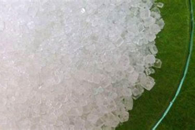 水稻田七月初硫酸铵用量多少