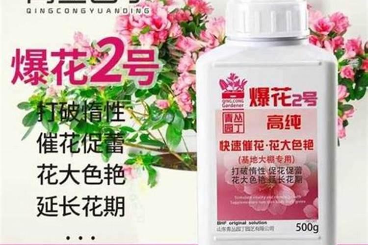 种土豆用什么肥料好 用什么肥料好种土豆