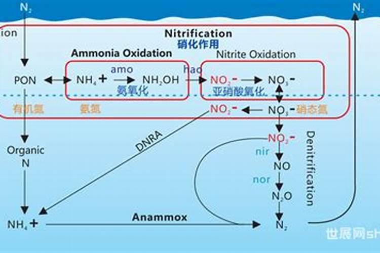 养花黄豆消除臭味的方法