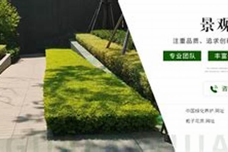园林绿化用什么肥料