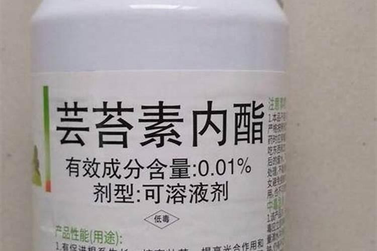 最好的巨大芽孢杆菌品牌是什么,效果怎么样