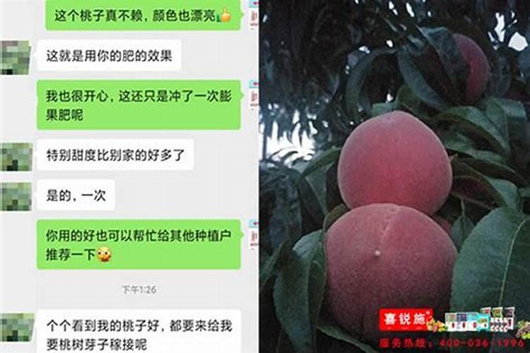 桃树什么时候用水溶肥最好