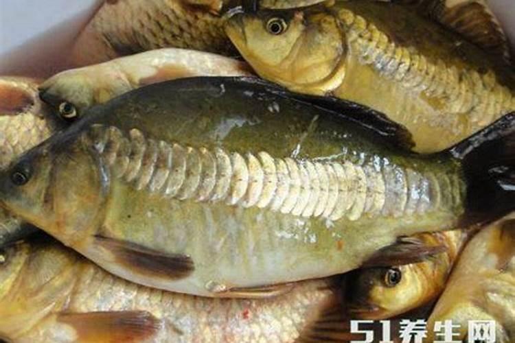 养黄颡鱼的鱼塘有很多绿藻,请问对于养殖无鳞鱼的鱼塘应该用什么药除蓝绿...