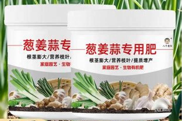 蝴蝶兰怎么施肥花开更多