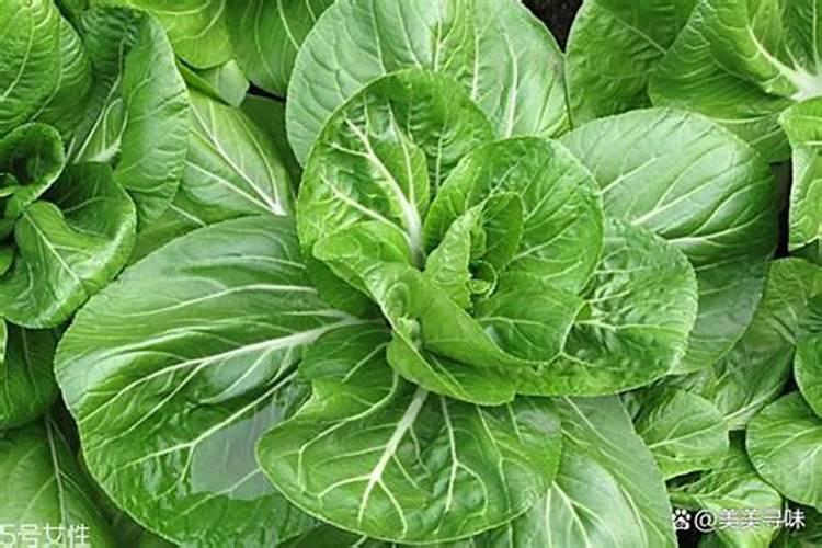 求一些补锌的饮料和食物啊