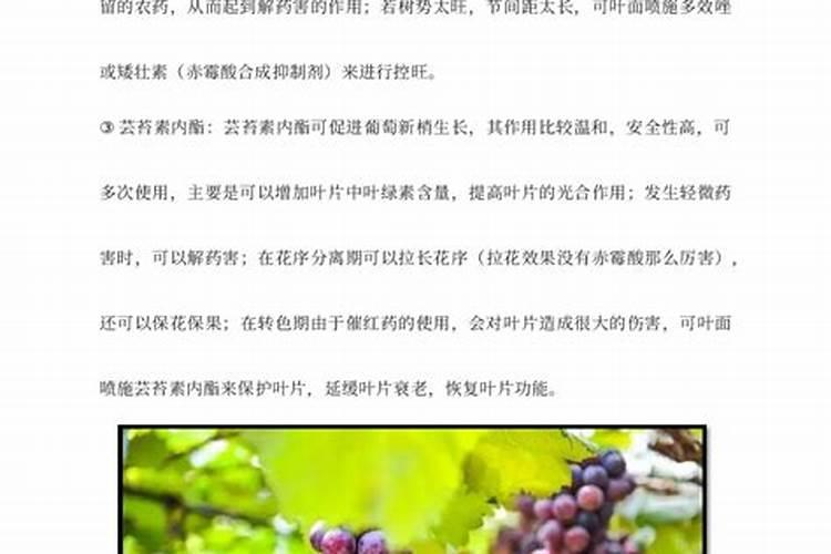 中科丰耘的黄腐酸钾怎么样？对作物有什么好处？