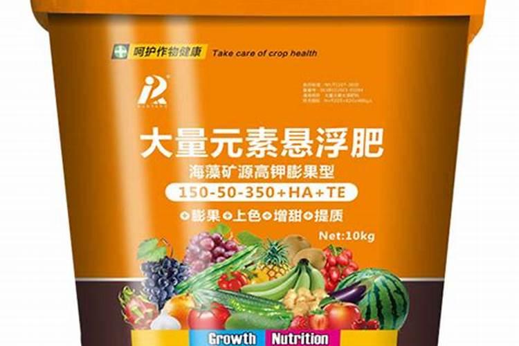 海藻好还是绿藻好