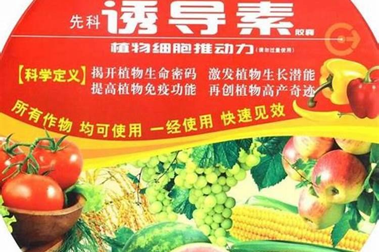 叶面肥如何正确使用,叶面肥使用的正确方法