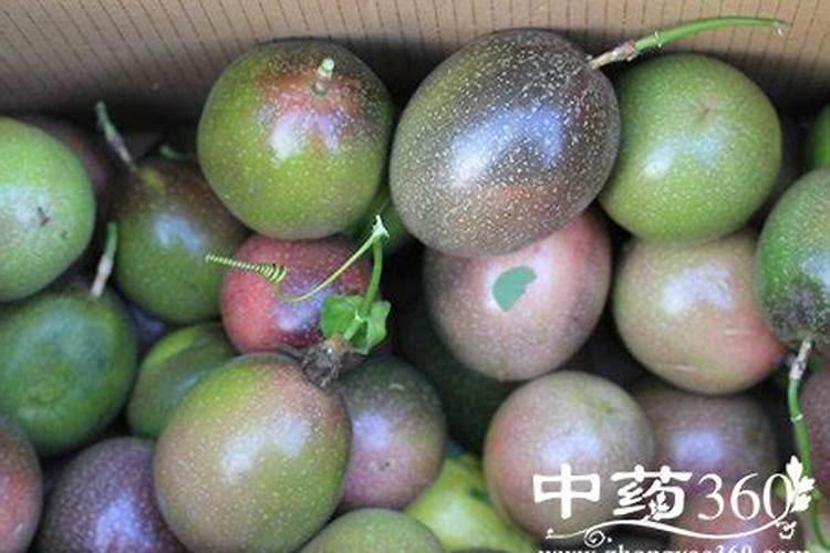 广东福利龙复合肥有限公司怎么样？