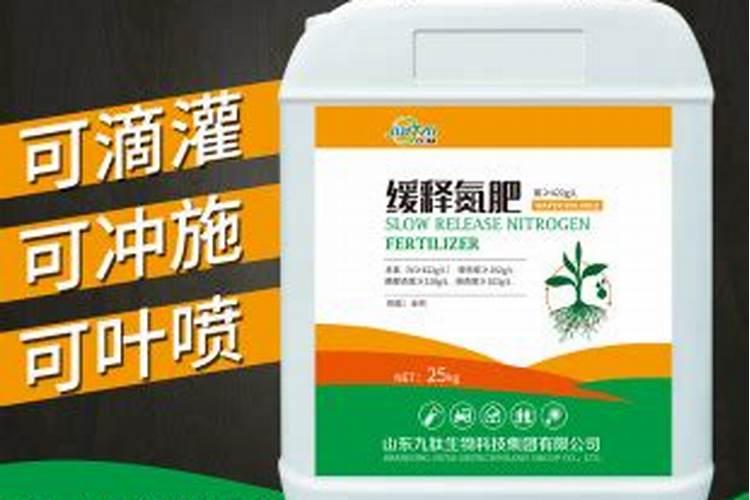 胡萝卜施什么肥