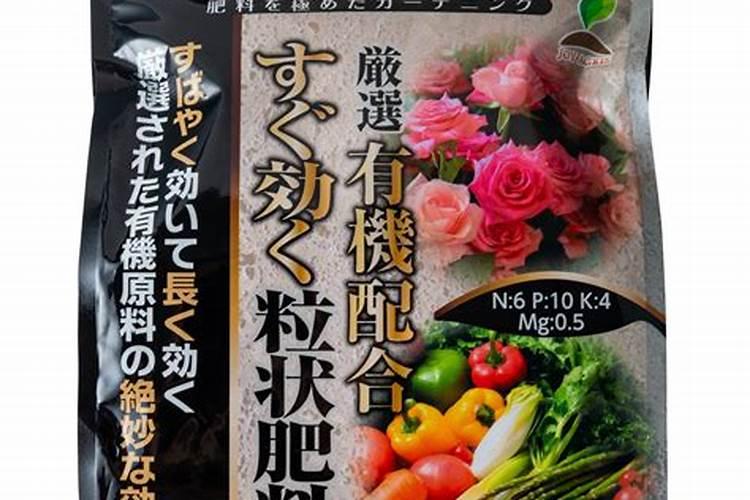 茶花用什么肥料好