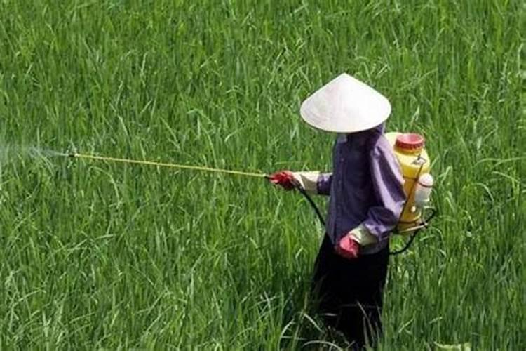 我想问一下水稻叶面肥能不能和硫酸锌一起喷施？