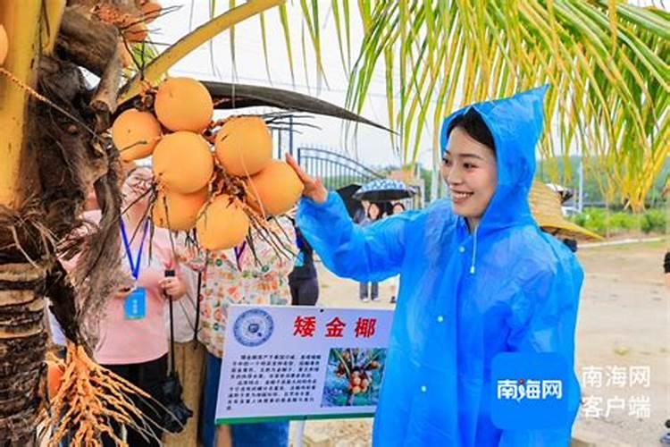 桃树亩产多少钱？桃树每亩的种植成本和利润