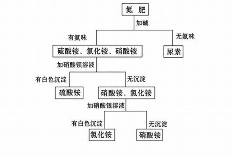 君子兰肥施重了怎么办
