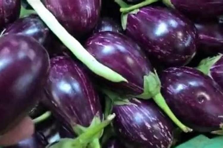 茄子需要什么肥料
