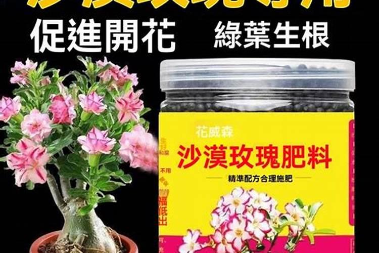 沙漠玫瑰用什么肥料最好