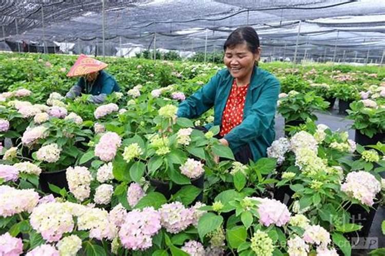 全球规模最大的磷肥生产基地在哪里