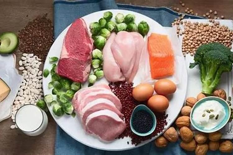 瘦肉和肥肉哪个蛋白质含量高