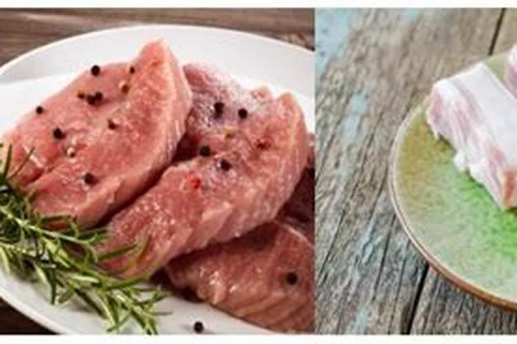 肥肉含蛋白质吗