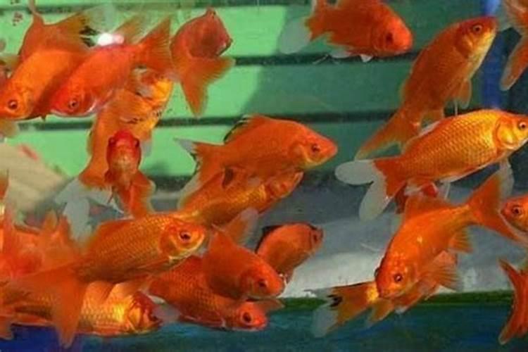 海南兰心生物科技有限公司怎么样？