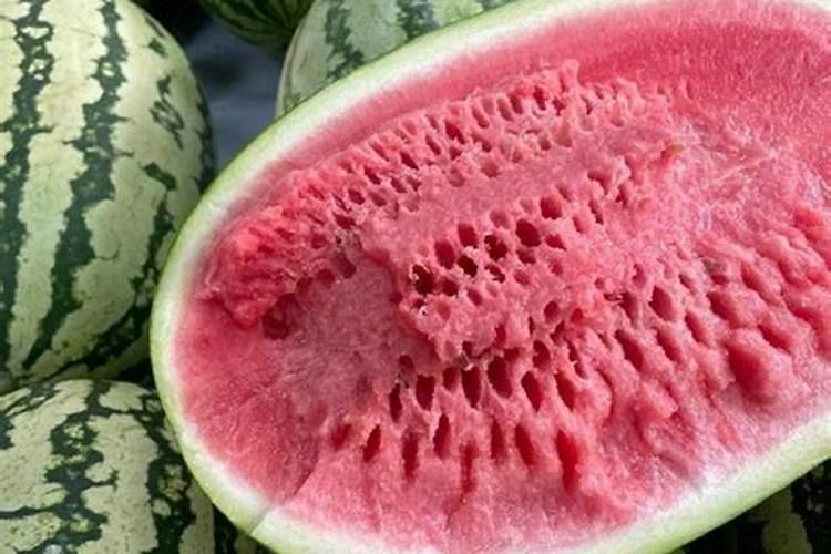 西瓜需要什么肥料最好